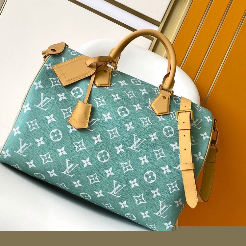 LV Travel Bags